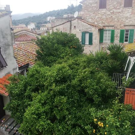 The 4 Senses Experience Villa Suvereto Exterior photo